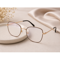 Modern eyeglasses